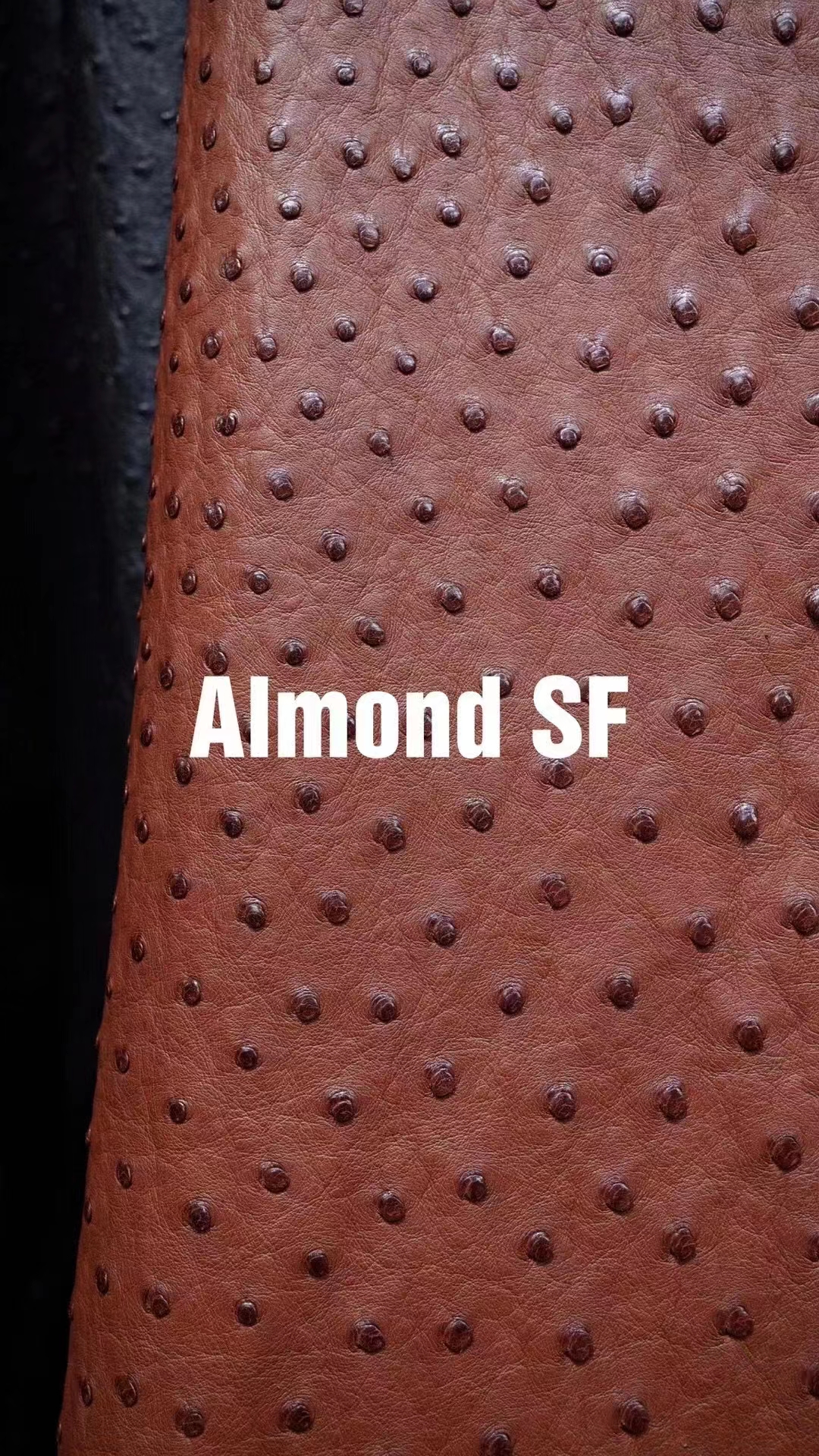 Uncle Bench Hermes Leather Ostrich Almond customized