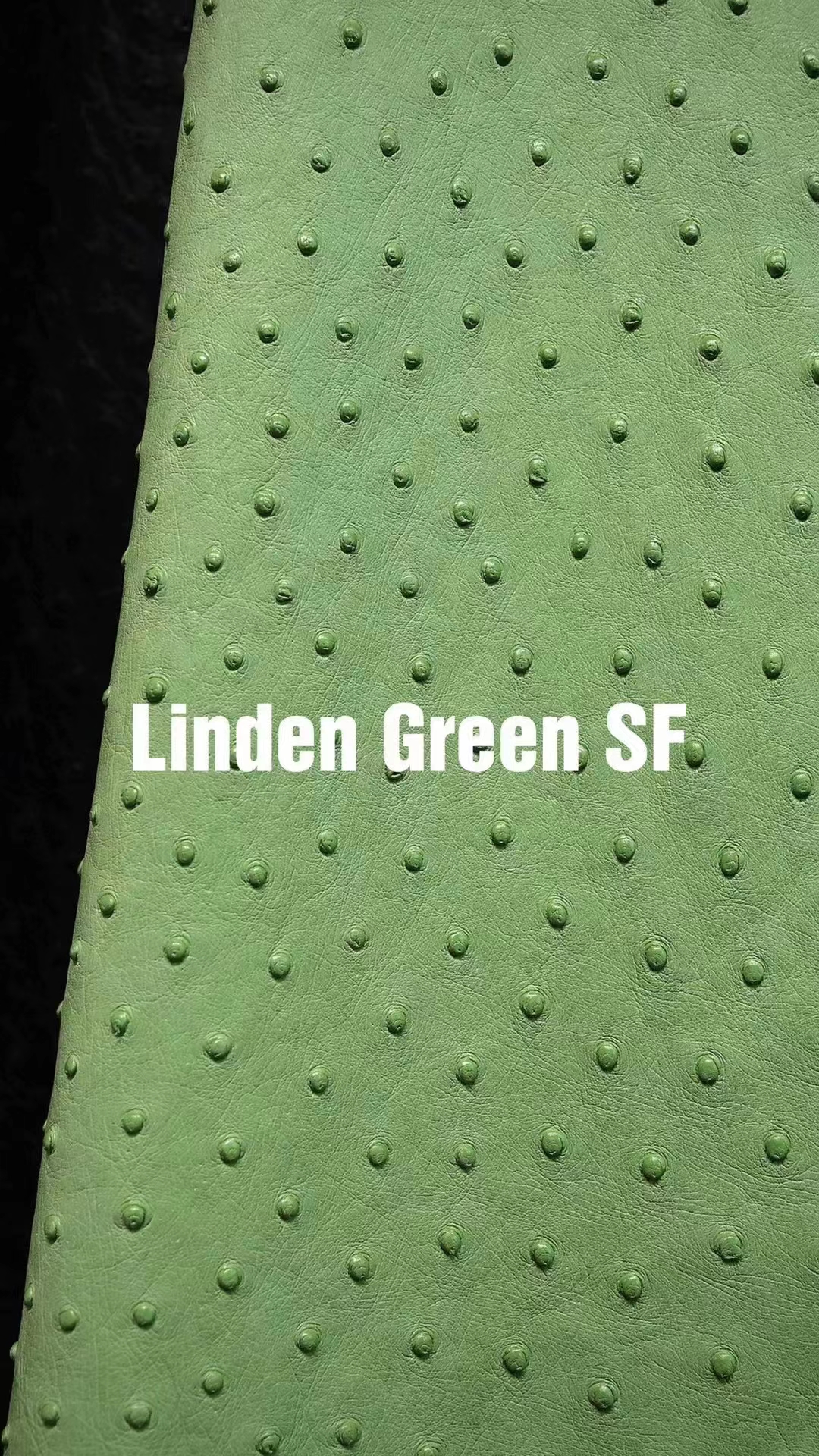 Uncle Bench Hermes Leather Ostrich Linden Green customized