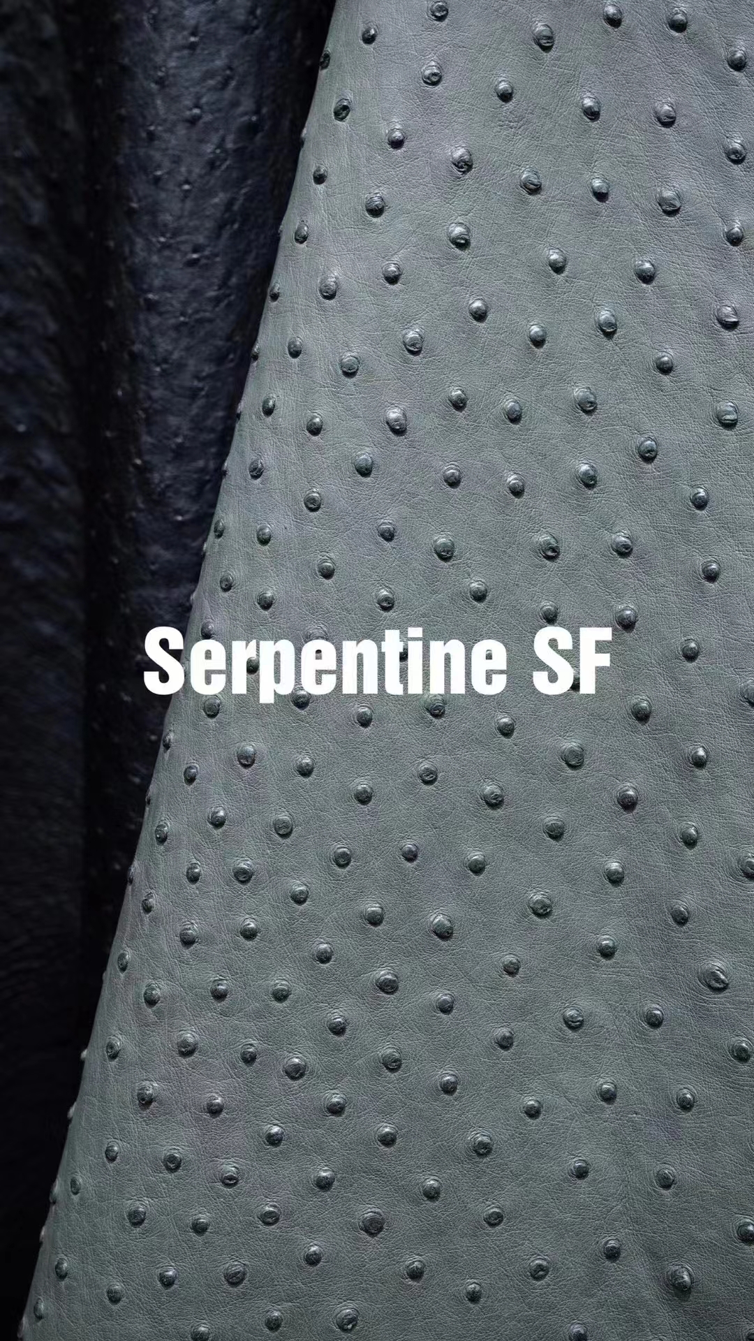 Uncle Bench Hermes Leather Ostrich Serpentine customized