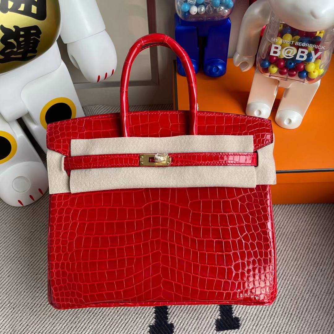 Herms Birkin ^ Porosus Siny ck95 Braise crocodile 25cm