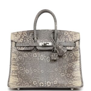 Hermes Birkin 25 Ombre Shiny Varanus Salvator Lizard Palladium Hardware