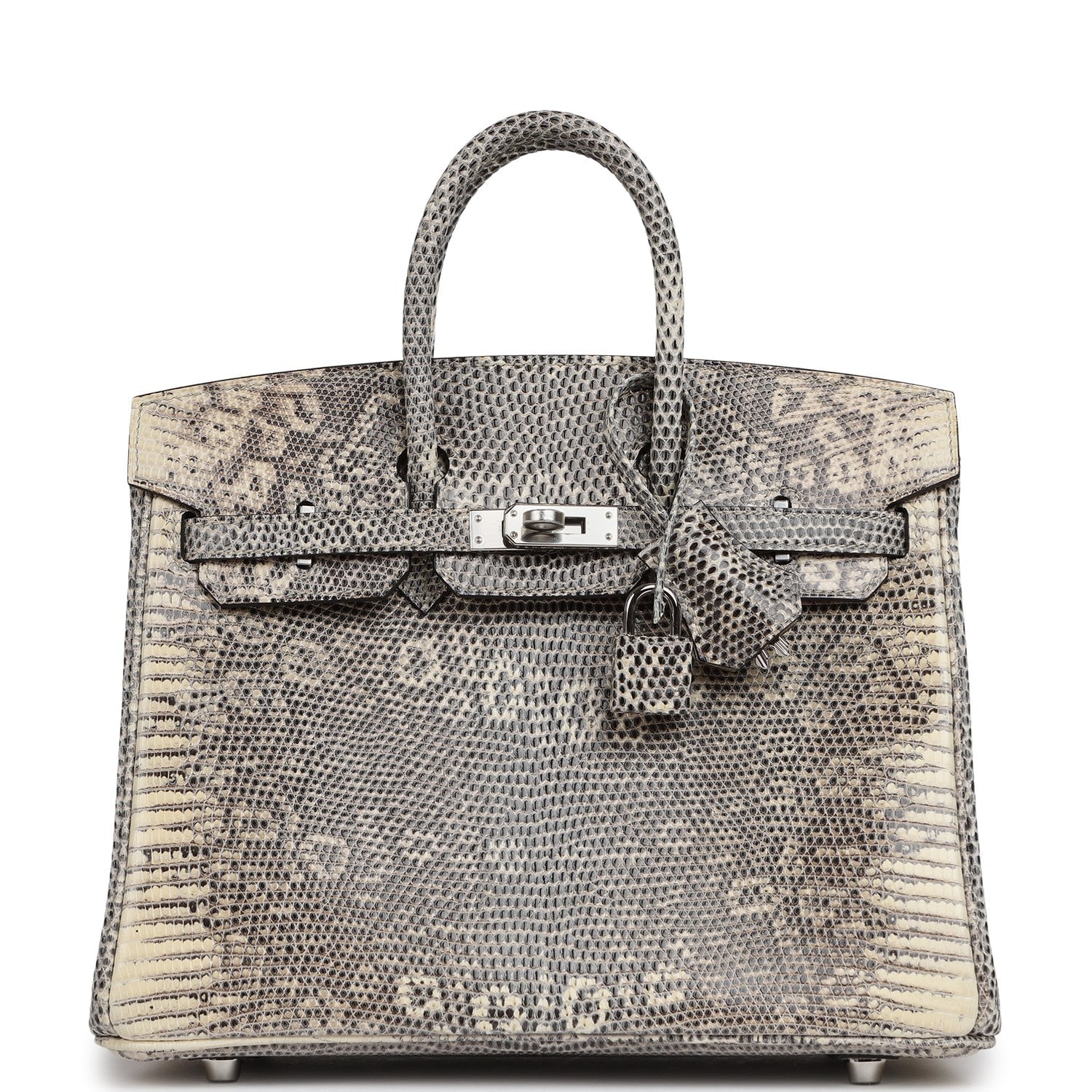 Hermès Birkin 25 Ombre Shiny Varanus Salvator Lizard Palladium Hardware Hermes Birkin 25 Ombre Shiny Varanus Salvator Lizard Palladium Hardware