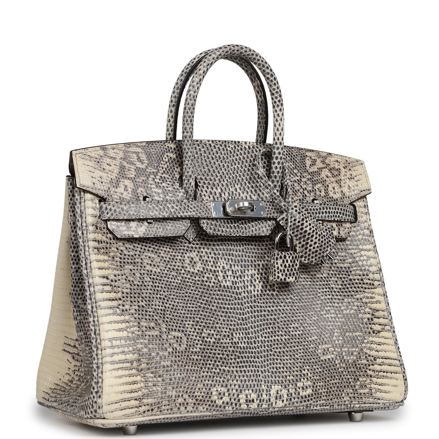 Hermès Birkin 25 Ombre Shiny Varanus Salvator Lizard Palladium Hardware Hermes Birkin 25 Ombre Shiny Varanus Salvator Lizard Palladium Hardware - view 2