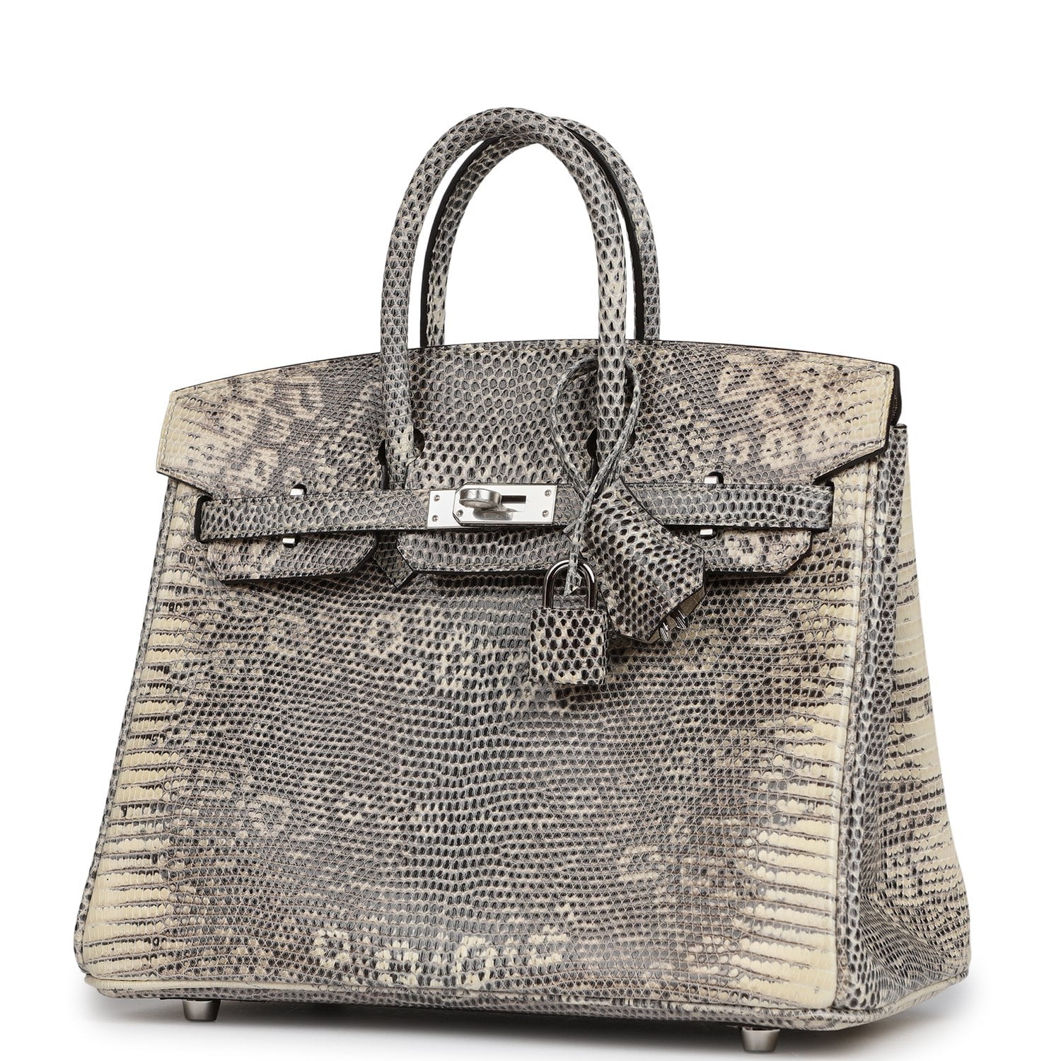 Hermès Birkin 25 Ombre Shiny Varanus Salvator Lizard Palladium Hardware Hermes Birkin 25 Ombre Shiny Varanus Salvator Lizard Palladium Hardware - view 5