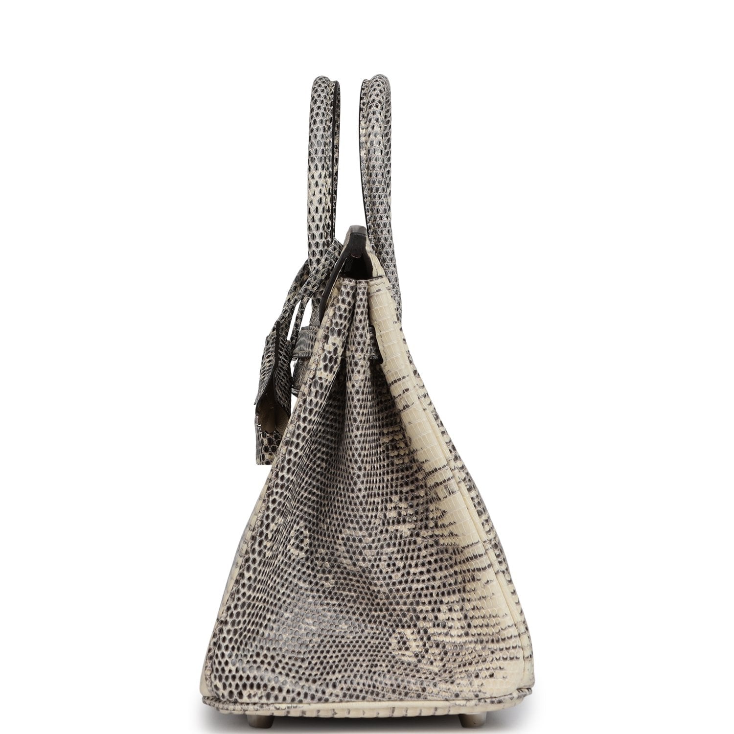 Hermès Birkin 25 Ombre Shiny Varanus Salvator Lizard Palladium Hardware Hermes Birkin 25 Ombre Shiny Varanus Salvator Lizard Palladium Hardware - view 3
