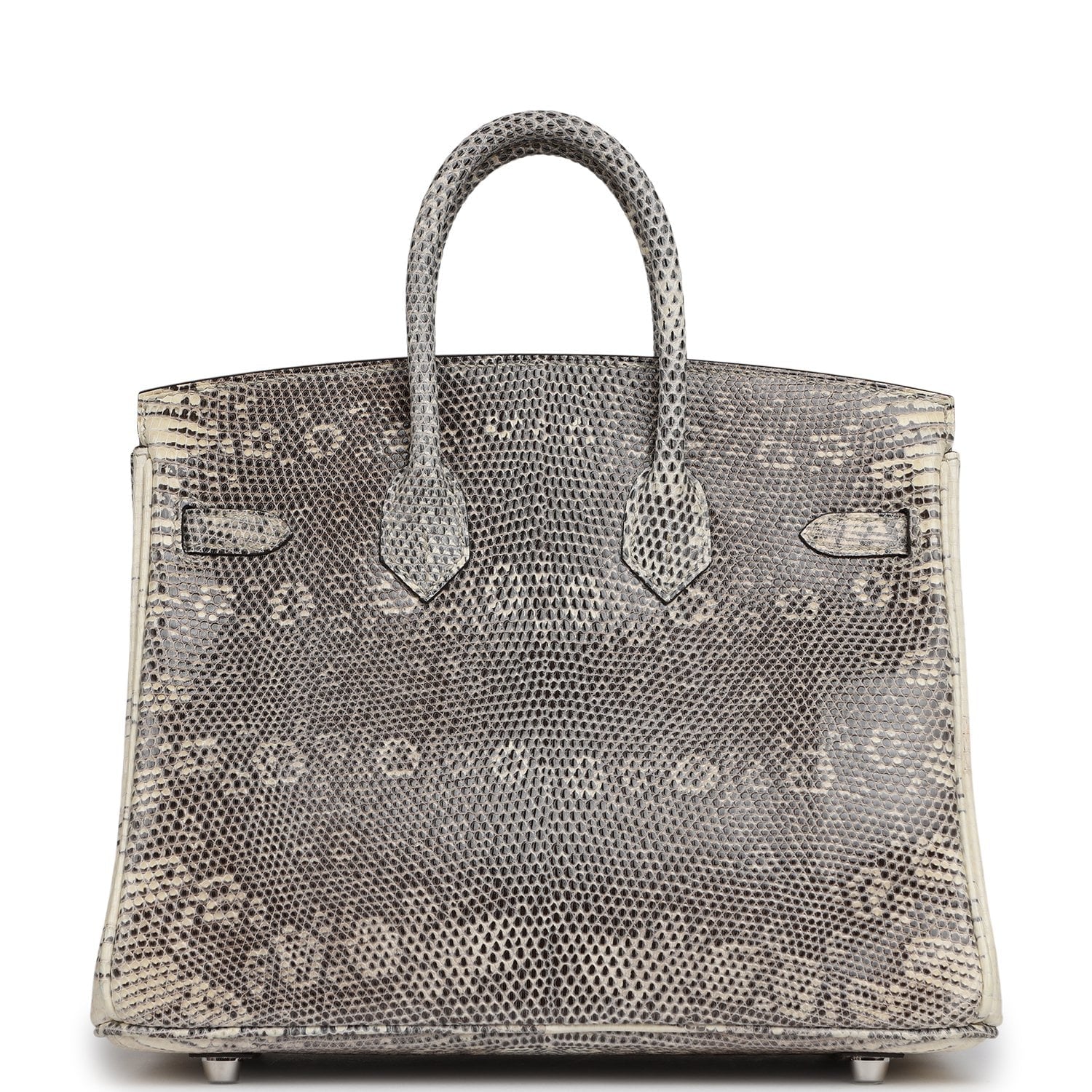 Hermès Birkin 25 Ombre Shiny Varanus Salvator Lizard Palladium Hardware Hermes Birkin 25 Ombre Shiny Varanus Salvator Lizard Palladium Hardware - view 4