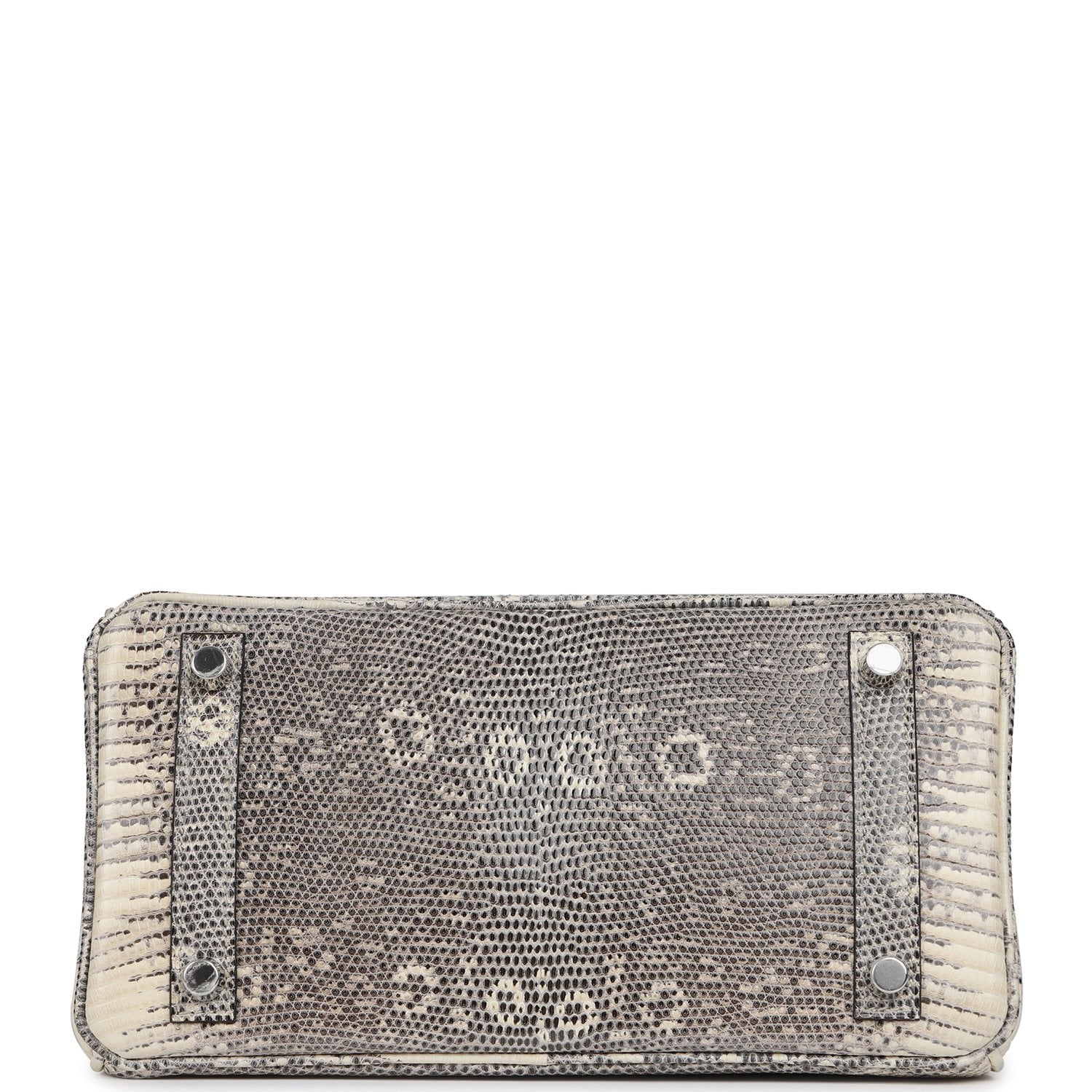 Hermès Birkin 25 Ombre Shiny Varanus Salvator Lizard Palladium Hardware Hermes Birkin 25 Ombre Shiny Varanus Salvator Lizard Palladium Hardware - view 6