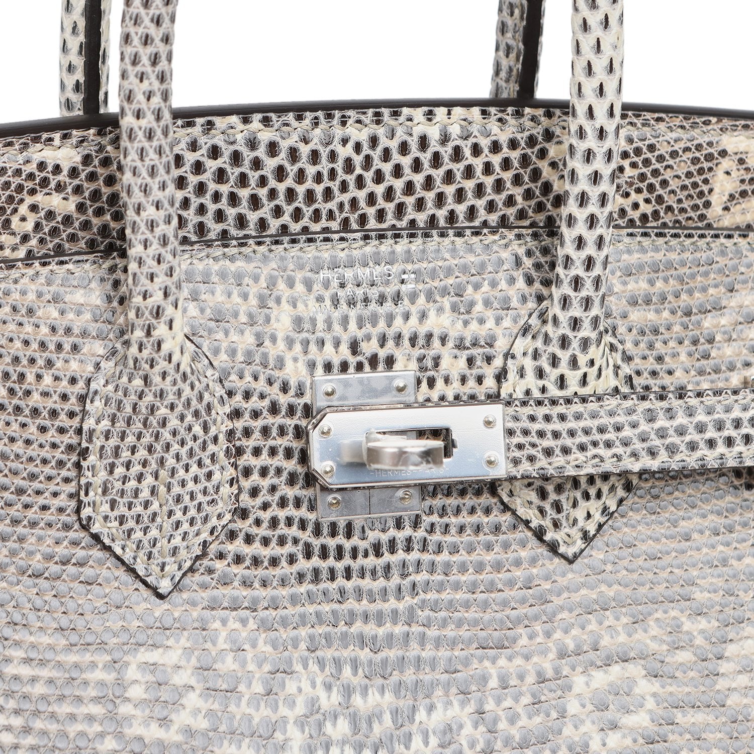 Hermès Birkin 25 Ombre Shiny Varanus Salvator Lizard Palladium Hardware Hermes Birkin 25 Ombre Shiny Varanus Salvator Lizard Palladium Hardware - view 7