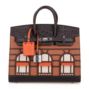 Home Hermes Birkin 20 Sellier Limited Edition Faubourg Bag with Palladium Hardware