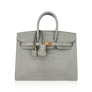 Hermes Birkin 25 Bag Gris Ciment Matte Alligator with Gold Hardware
