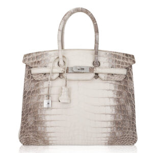 Hermes Birkin 35 Diamond Blanc Himalaya Matte Crocodile Limited Edition Bag
